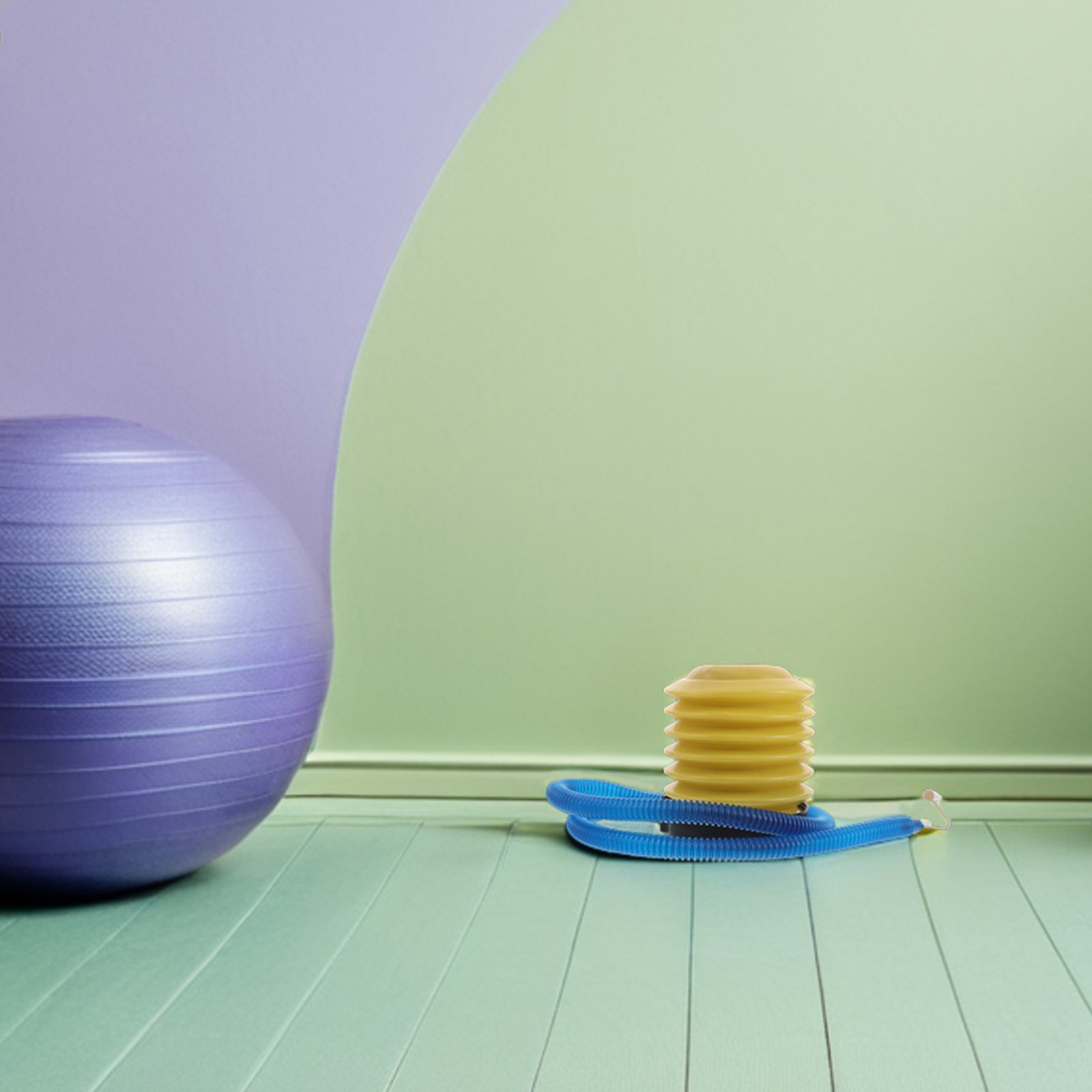 1Set Yoga Ball Pump Manual Foo - Pilates Is Yoga 评论和价格